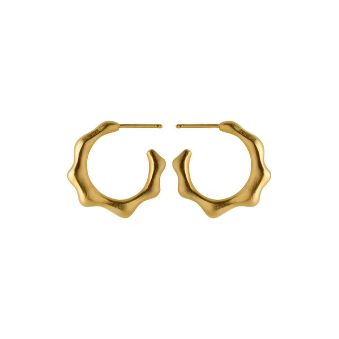 Aqua Hoops Kreolen vergoldet