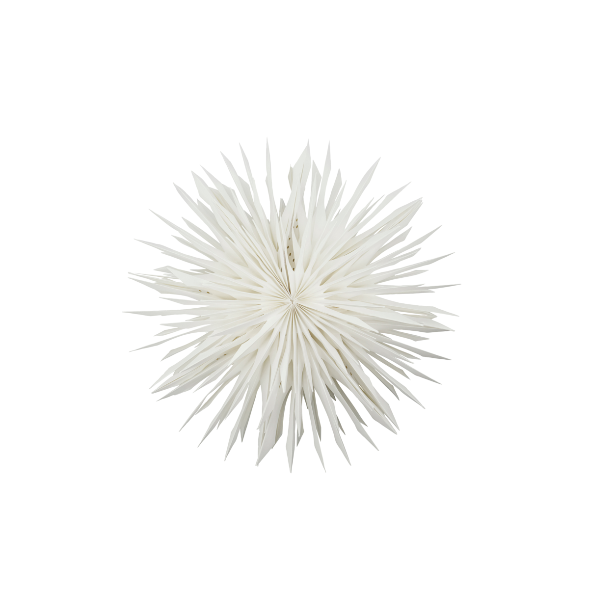 Stern - Reef, Off-White B:50 cm